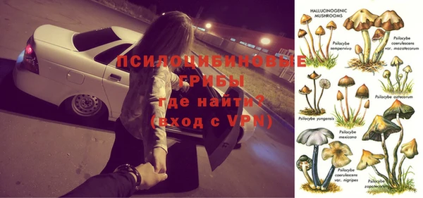 трава Михайловск