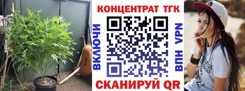Дистиллят ТГК концентрат  Кедровый 
