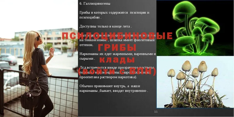 ОМГ ОМГ как войти  Кедровый  Галлюциногенные грибы ЛСД 