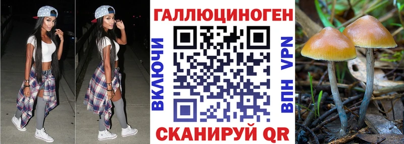 нарко площадка официальный сайт  купить наркоту  Кедровый  Псилоцибиновые грибы ЛСД 
